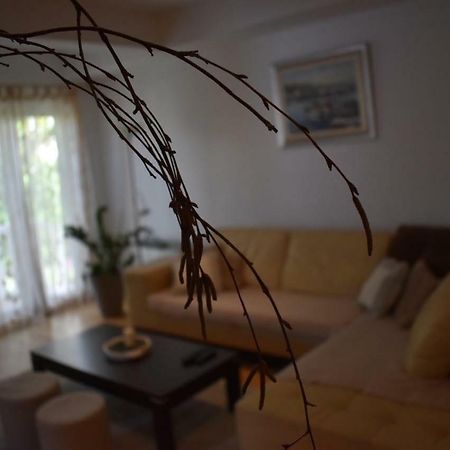 Fantasy Apartment 科尔丘拉 外观 照片